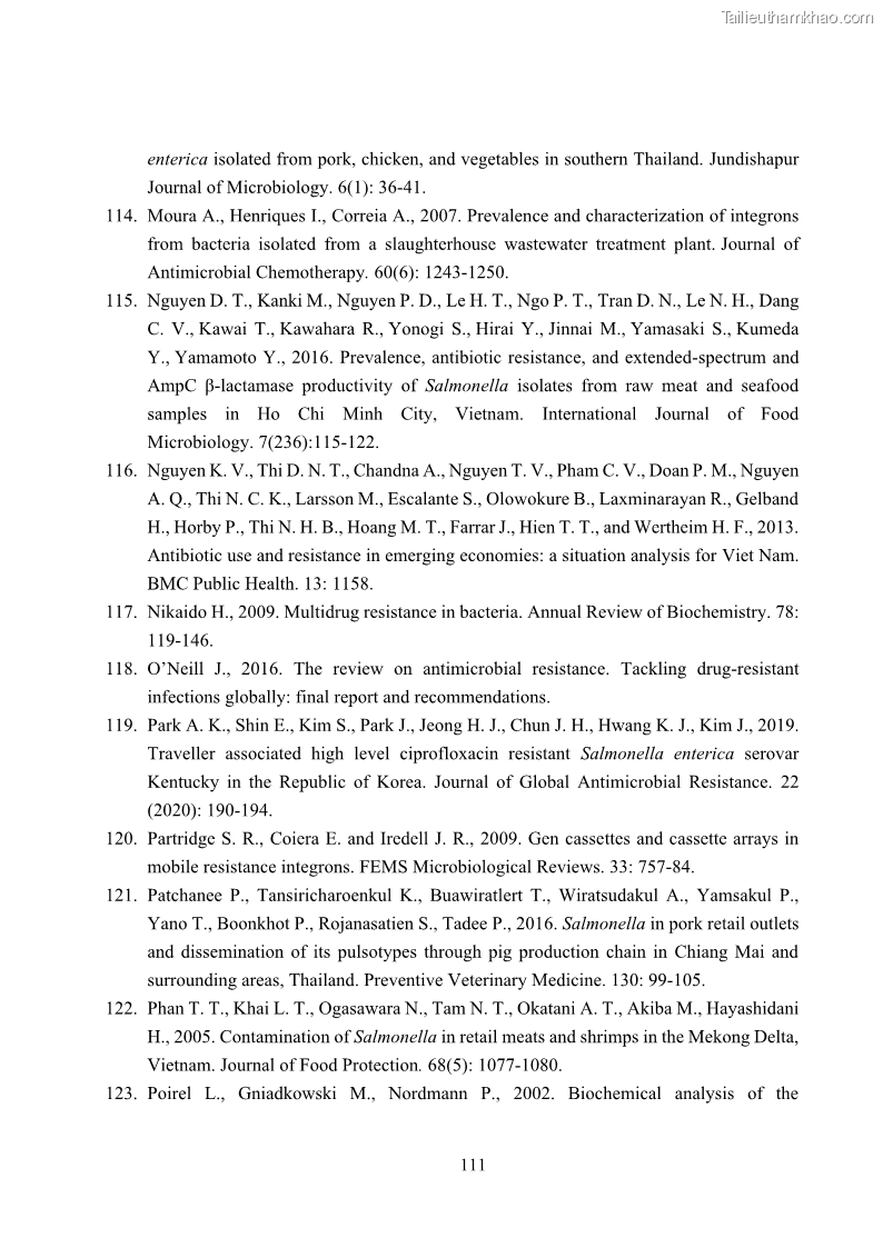 Luận án tiến sĩ công nghệ sinh học Nghiên cứu tính kháng kháng sinh ở mức độ phân tử của Salmonella spp. phân lập từ thực phẩm tại thành phố Hồ Chí Minh - 11 Trang 126