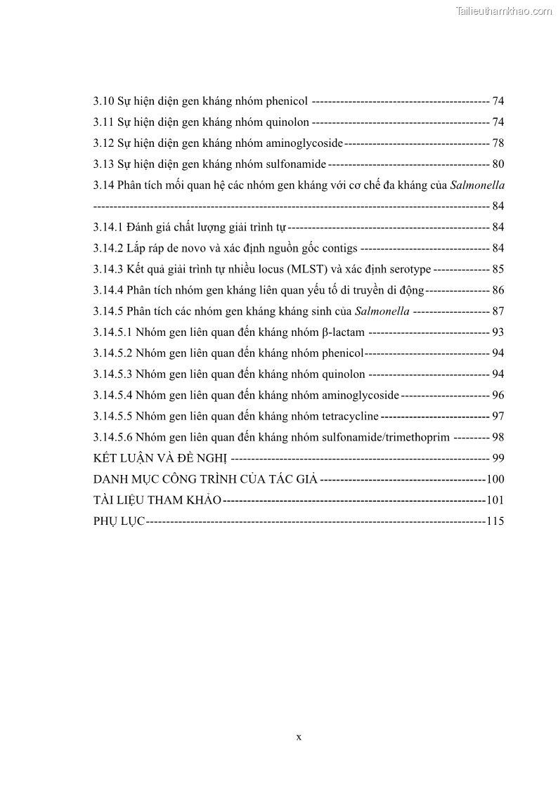 Luận án tiến sĩ công nghệ sinh học Nghiên cứu tính kháng kháng sinh ở mức độ phân tử của Salmonella spp. phân lập từ thực phẩm tại thành phố Hồ Chí Minh - 2 Trang 13
