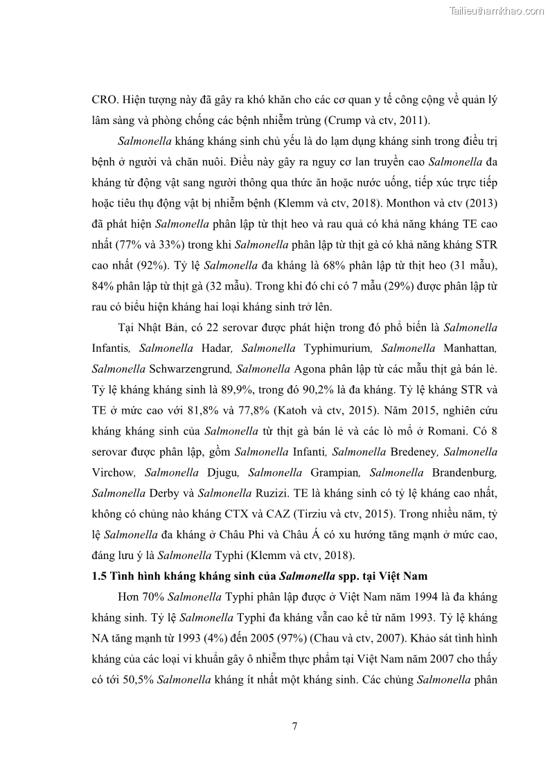 Luận án tiến sĩ công nghệ sinh học Nghiên cứu tính kháng kháng sinh ở mức độ phân tử của Salmonella spp. phân lập từ thực phẩm tại thành phố Hồ Chí Minh - 2 Trang 22
