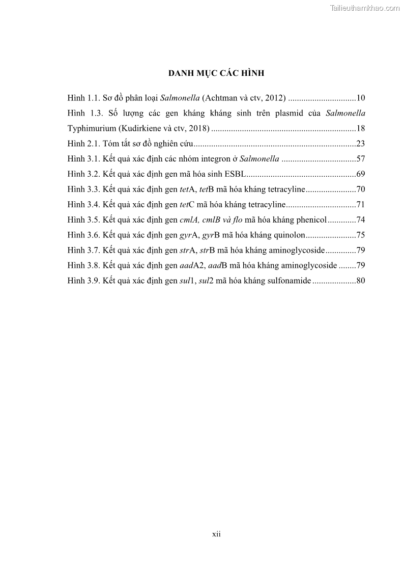 Luận án tiến sĩ công nghệ sinh học Nghiên cứu tính kháng kháng sinh ở mức độ phân tử của Salmonella spp. phân lập từ thực phẩm tại thành phố Hồ Chí Minh - 2 Trang 15