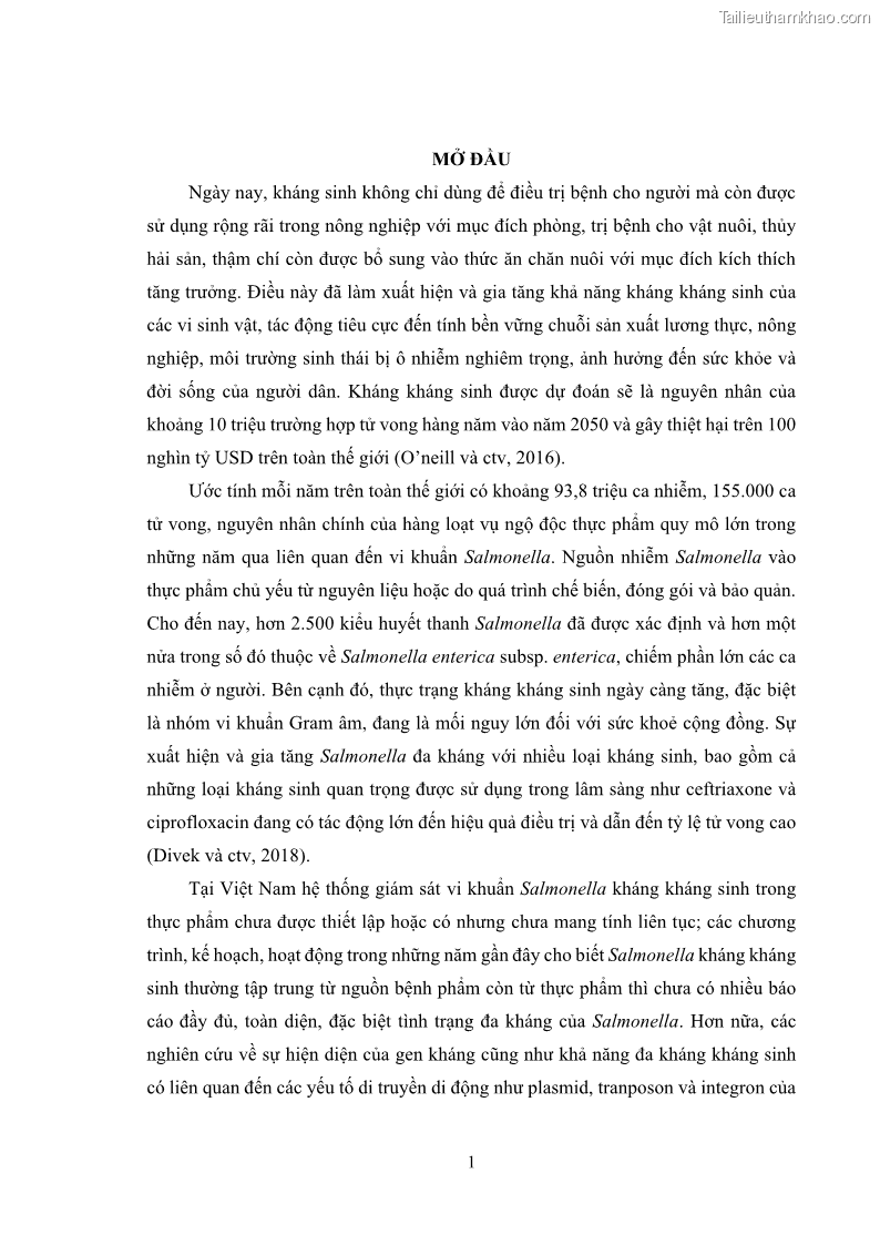 Luận án tiến sĩ công nghệ sinh học Nghiên cứu tính kháng kháng sinh ở mức độ phân tử của Salmonella spp. phân lập từ thực phẩm tại thành phố Hồ Chí Minh - 2 Trang 16