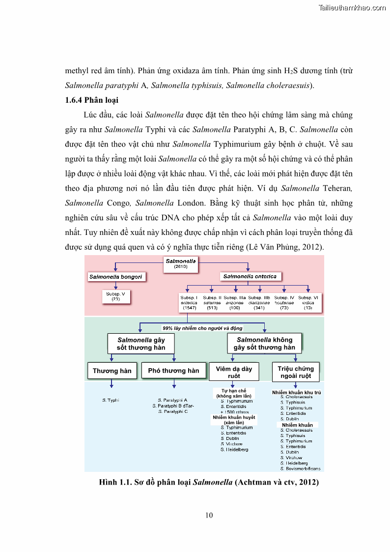 Luận án tiến sĩ công nghệ sinh học Nghiên cứu tính kháng kháng sinh ở mức độ phân tử của Salmonella spp. phân lập từ thực phẩm tại thành phố Hồ Chí Minh - 3 Trang 25