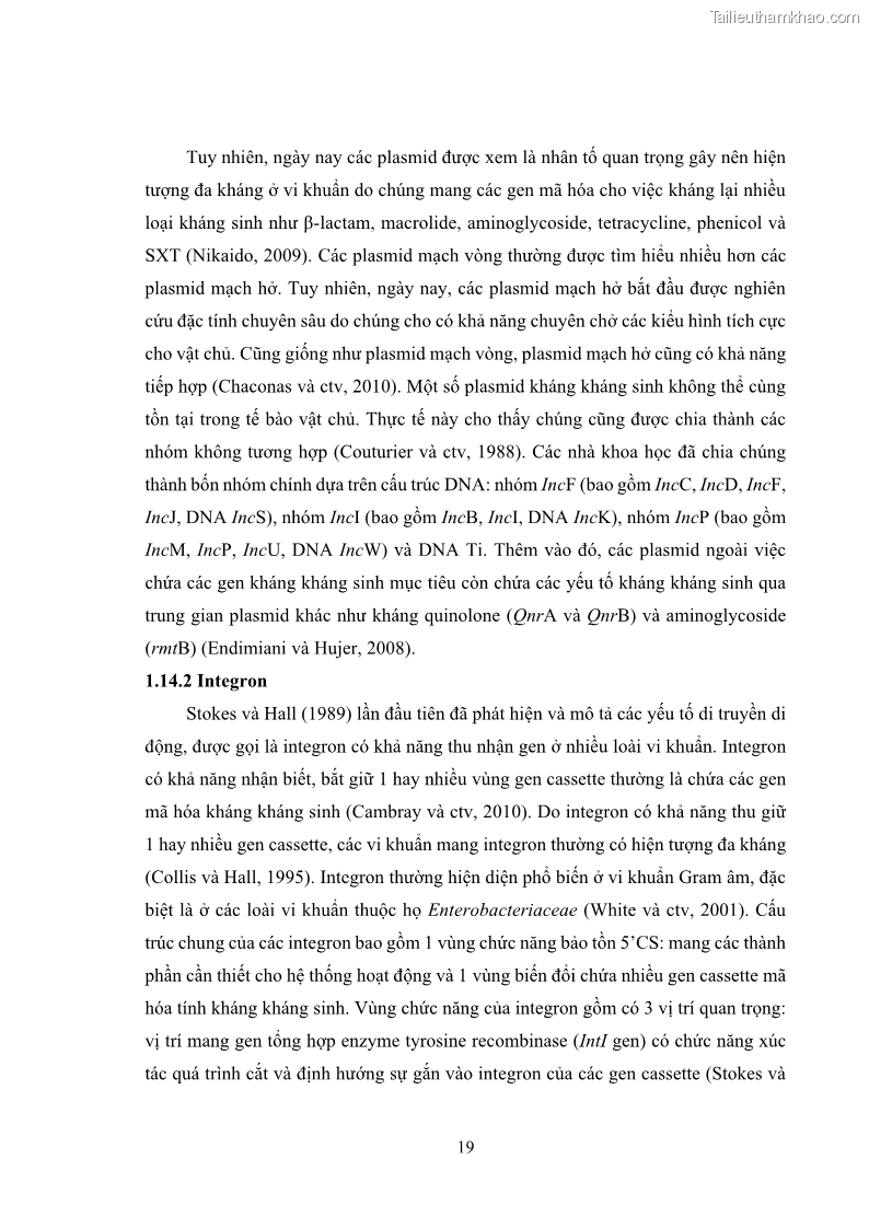 Luận án tiến sĩ công nghệ sinh học Nghiên cứu tính kháng kháng sinh ở mức độ phân tử của Salmonella spp. phân lập từ thực phẩm tại thành phố Hồ Chí Minh - 3 Trang 34