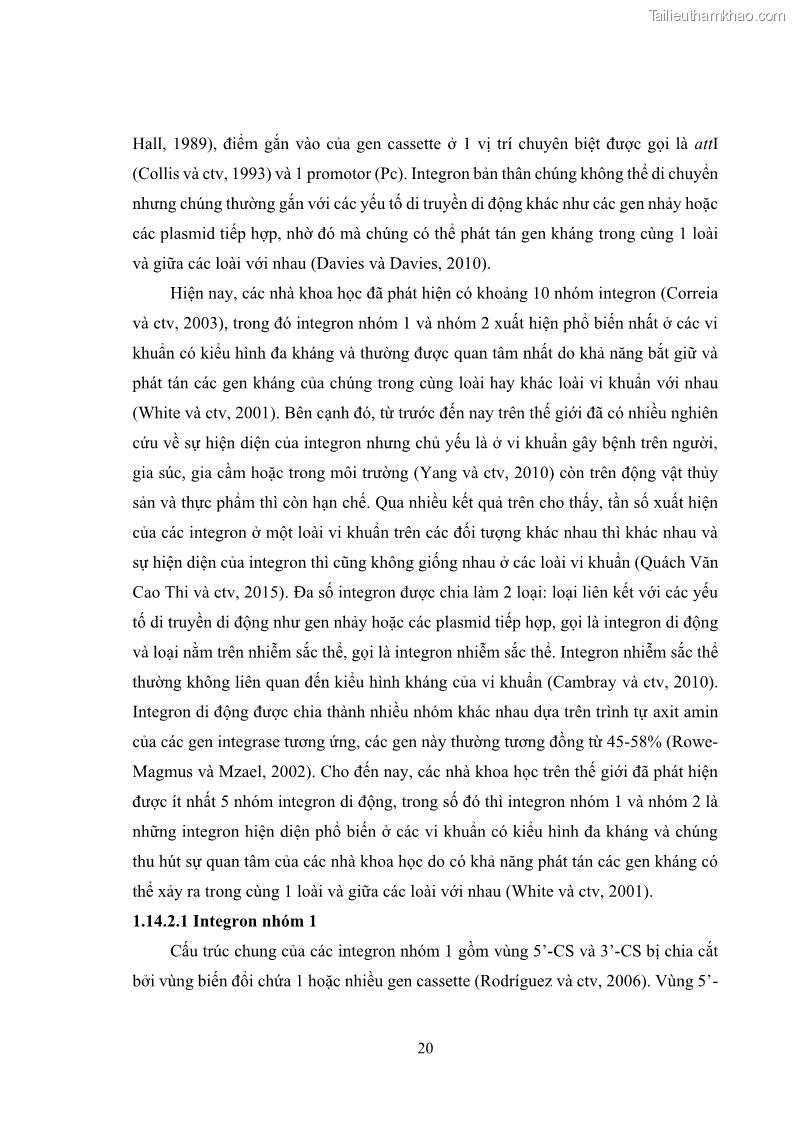 Luận án tiến sĩ công nghệ sinh học Nghiên cứu tính kháng kháng sinh ở mức độ phân tử của Salmonella spp. phân lập từ thực phẩm tại thành phố Hồ Chí Minh - 3 Trang 35