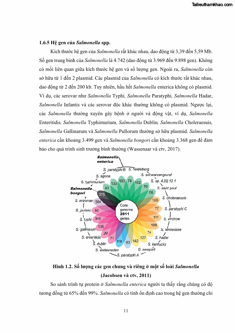 Luận án tiến sĩ công nghệ sinh học Nghiên cứu tính kháng kháng sinh ở mức độ phân tử của Salmonella spp. phân lập từ thực phẩm tại thành phố Hồ Chí Minh - 3 Trang 26