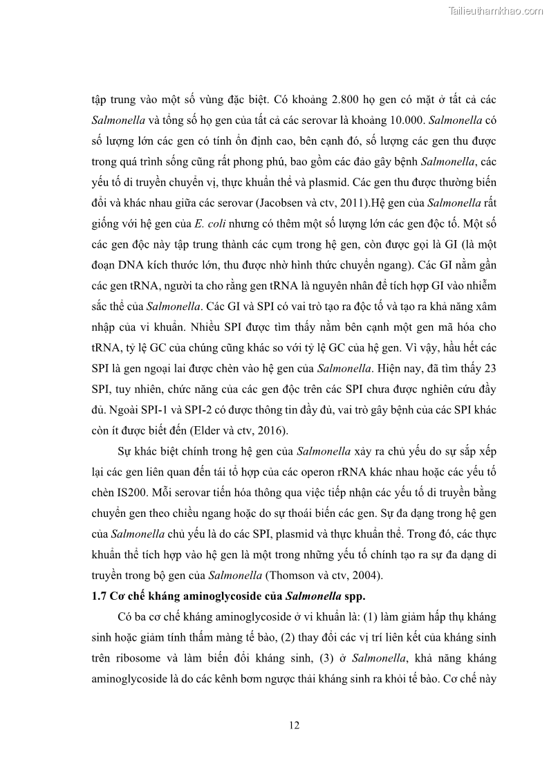 Luận án tiến sĩ công nghệ sinh học Nghiên cứu tính kháng kháng sinh ở mức độ phân tử của Salmonella spp. phân lập từ thực phẩm tại thành phố Hồ Chí Minh - 3 Trang 27