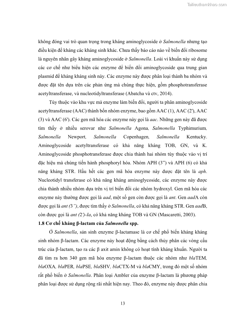 Luận án tiến sĩ công nghệ sinh học Nghiên cứu tính kháng kháng sinh ở mức độ phân tử của Salmonella spp. phân lập từ thực phẩm tại thành phố Hồ Chí Minh - 3 Trang 28