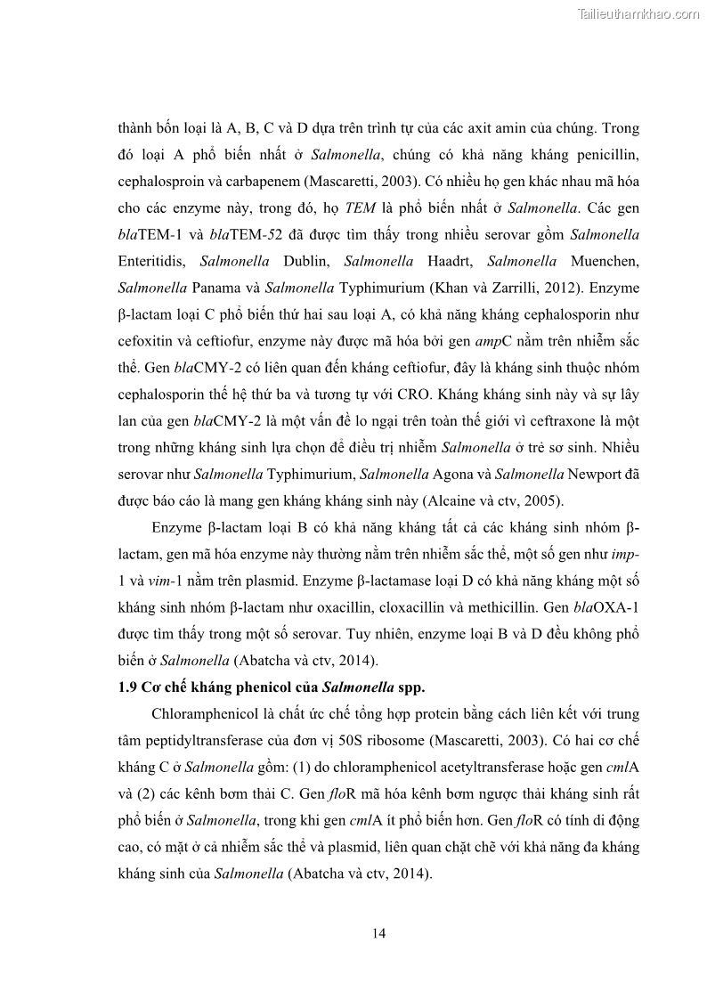Luận án tiến sĩ công nghệ sinh học Nghiên cứu tính kháng kháng sinh ở mức độ phân tử của Salmonella spp. phân lập từ thực phẩm tại thành phố Hồ Chí Minh - 3 Trang 29