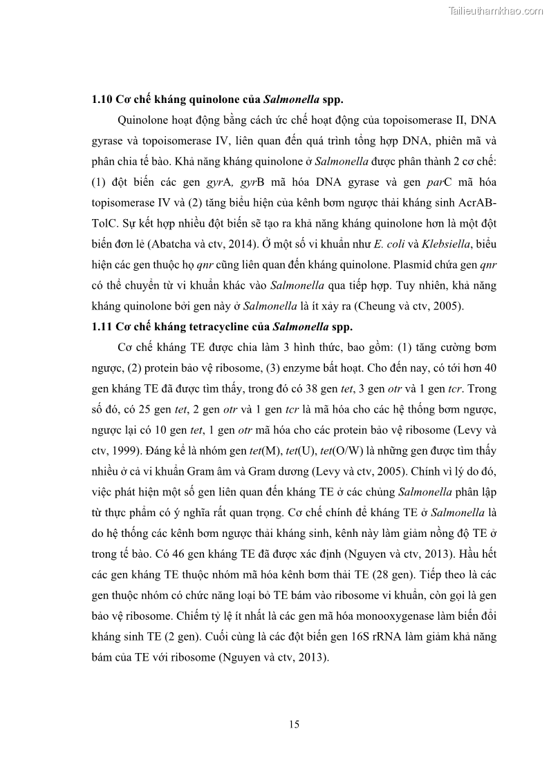 Luận án tiến sĩ công nghệ sinh học Nghiên cứu tính kháng kháng sinh ở mức độ phân tử của Salmonella spp. phân lập từ thực phẩm tại thành phố Hồ Chí Minh - 3 Trang 30