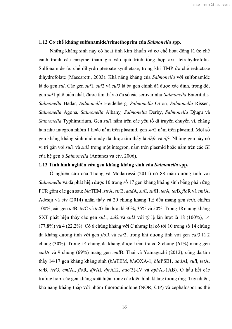 Luận án tiến sĩ công nghệ sinh học Nghiên cứu tính kháng kháng sinh ở mức độ phân tử của Salmonella spp. phân lập từ thực phẩm tại thành phố Hồ Chí Minh - 3 Trang 31