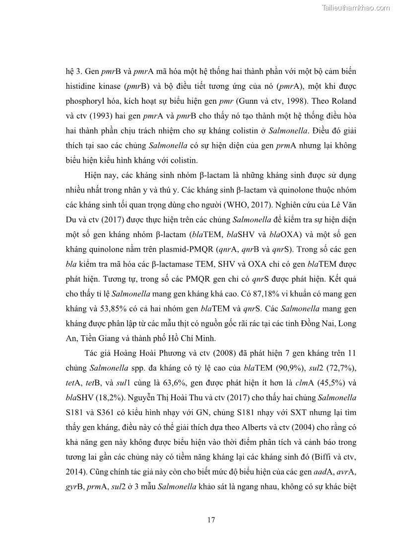 Luận án tiến sĩ công nghệ sinh học Nghiên cứu tính kháng kháng sinh ở mức độ phân tử của Salmonella spp. phân lập từ thực phẩm tại thành phố Hồ Chí Minh - 3 Trang 32