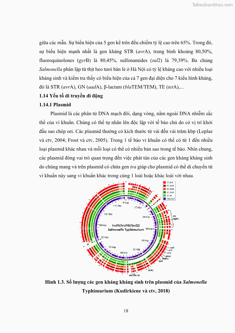 Luận án tiến sĩ công nghệ sinh học Nghiên cứu tính kháng kháng sinh ở mức độ phân tử của Salmonella spp. phân lập từ thực phẩm tại thành phố Hồ Chí Minh - 3 Trang 33