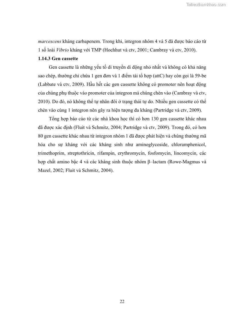 Luận án tiến sĩ công nghệ sinh học Nghiên cứu tính kháng kháng sinh ở mức độ phân tử của Salmonella spp. phân lập từ thực phẩm tại thành phố Hồ Chí Minh - 4 Trang 37