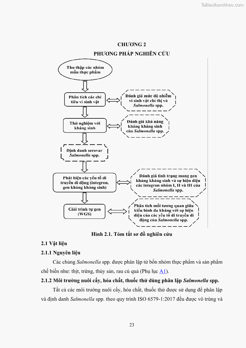 Luận án tiến sĩ công nghệ sinh học Nghiên cứu tính kháng kháng sinh ở mức độ phân tử của Salmonella spp. phân lập từ thực phẩm tại thành phố Hồ Chí Minh - 4 Trang 38