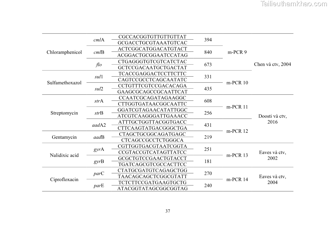 Luận án tiến sĩ công nghệ sinh học Nghiên cứu tính kháng kháng sinh ở mức độ phân tử của Salmonella spp. phân lập từ thực phẩm tại thành phố Hồ Chí Minh - 5 Trang 52