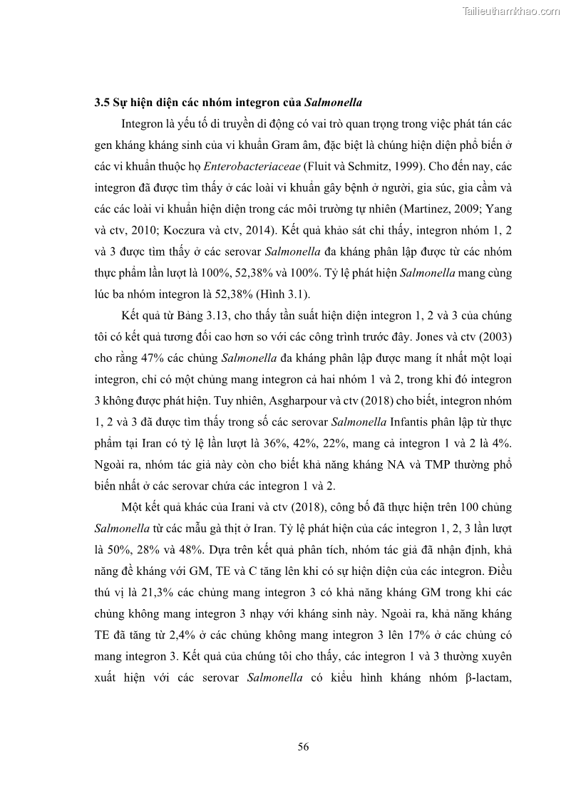 Luận án tiến sĩ công nghệ sinh học Nghiên cứu tính kháng kháng sinh ở mức độ phân tử của Salmonella spp. phân lập từ thực phẩm tại thành phố Hồ Chí Minh - 6 Trang 71