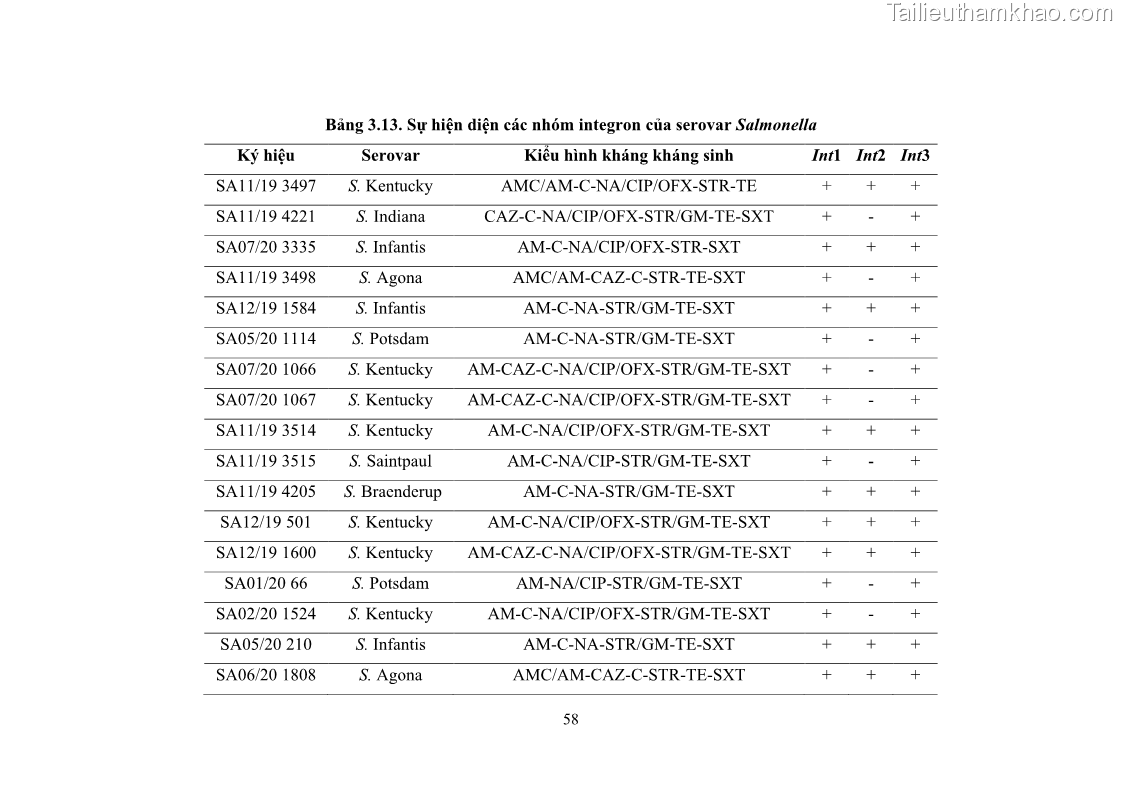 Luận án tiến sĩ công nghệ sinh học Nghiên cứu tính kháng kháng sinh ở mức độ phân tử của Salmonella spp. phân lập từ thực phẩm tại thành phố Hồ Chí Minh - 7 Trang 73