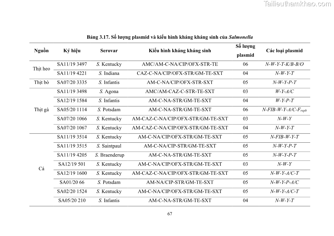 Luận án tiến sĩ công nghệ sinh học Nghiên cứu tính kháng kháng sinh ở mức độ phân tử của Salmonella spp. phân lập từ thực phẩm tại thành phố Hồ Chí Minh - 7 Trang 82