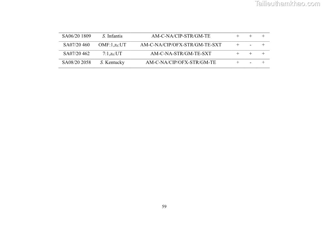 Luận án tiến sĩ công nghệ sinh học Nghiên cứu tính kháng kháng sinh ở mức độ phân tử của Salmonella spp. phân lập từ thực phẩm tại thành phố Hồ Chí Minh - 7 Trang 74