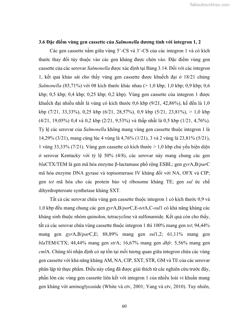 Luận án tiến sĩ công nghệ sinh học Nghiên cứu tính kháng kháng sinh ở mức độ phân tử của Salmonella spp. phân lập từ thực phẩm tại thành phố Hồ Chí Minh - 7 Trang 75