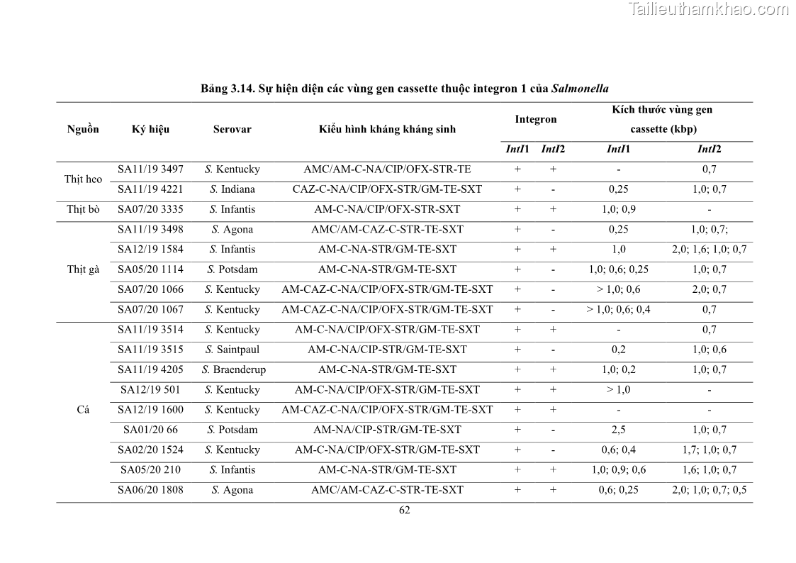 Luận án tiến sĩ công nghệ sinh học Nghiên cứu tính kháng kháng sinh ở mức độ phân tử của Salmonella spp. phân lập từ thực phẩm tại thành phố Hồ Chí Minh - 7 Trang 77