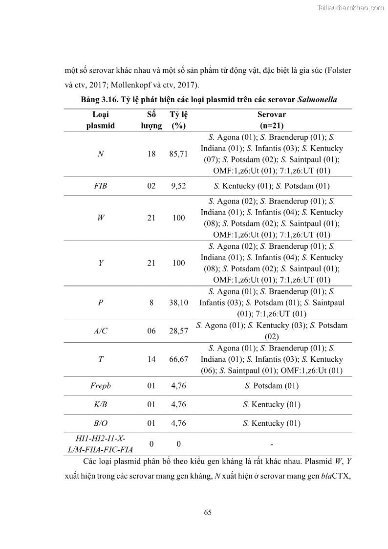 Luận án tiến sĩ công nghệ sinh học Nghiên cứu tính kháng kháng sinh ở mức độ phân tử của Salmonella spp. phân lập từ thực phẩm tại thành phố Hồ Chí Minh - 7 Trang 80