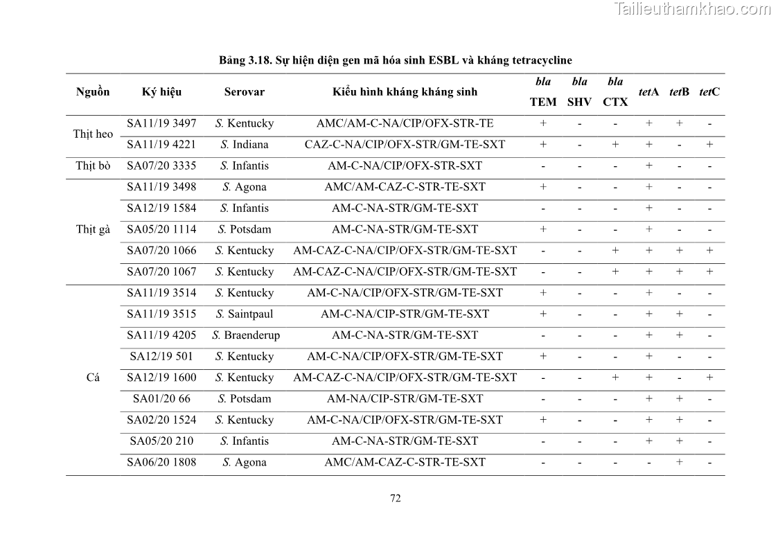 Luận án tiến sĩ công nghệ sinh học Nghiên cứu tính kháng kháng sinh ở mức độ phân tử của Salmonella spp. phân lập từ thực phẩm tại thành phố Hồ Chí Minh - 8 Trang 87