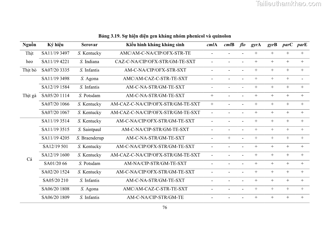 Luận án tiến sĩ công nghệ sinh học Nghiên cứu tính kháng kháng sinh ở mức độ phân tử của Salmonella spp. phân lập từ thực phẩm tại thành phố Hồ Chí Minh - 8 Trang 91