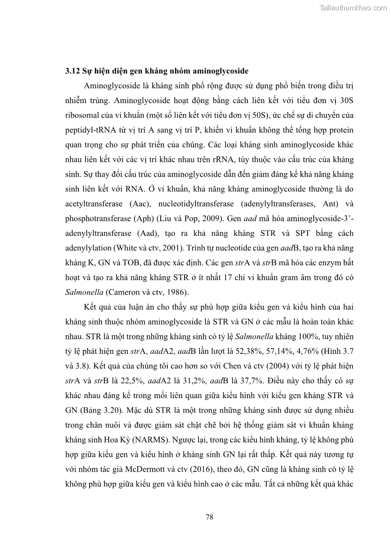 Luận án tiến sĩ công nghệ sinh học Nghiên cứu tính kháng kháng sinh ở mức độ phân tử của Salmonella spp. phân lập từ thực phẩm tại thành phố Hồ Chí Minh - 8 Trang 93