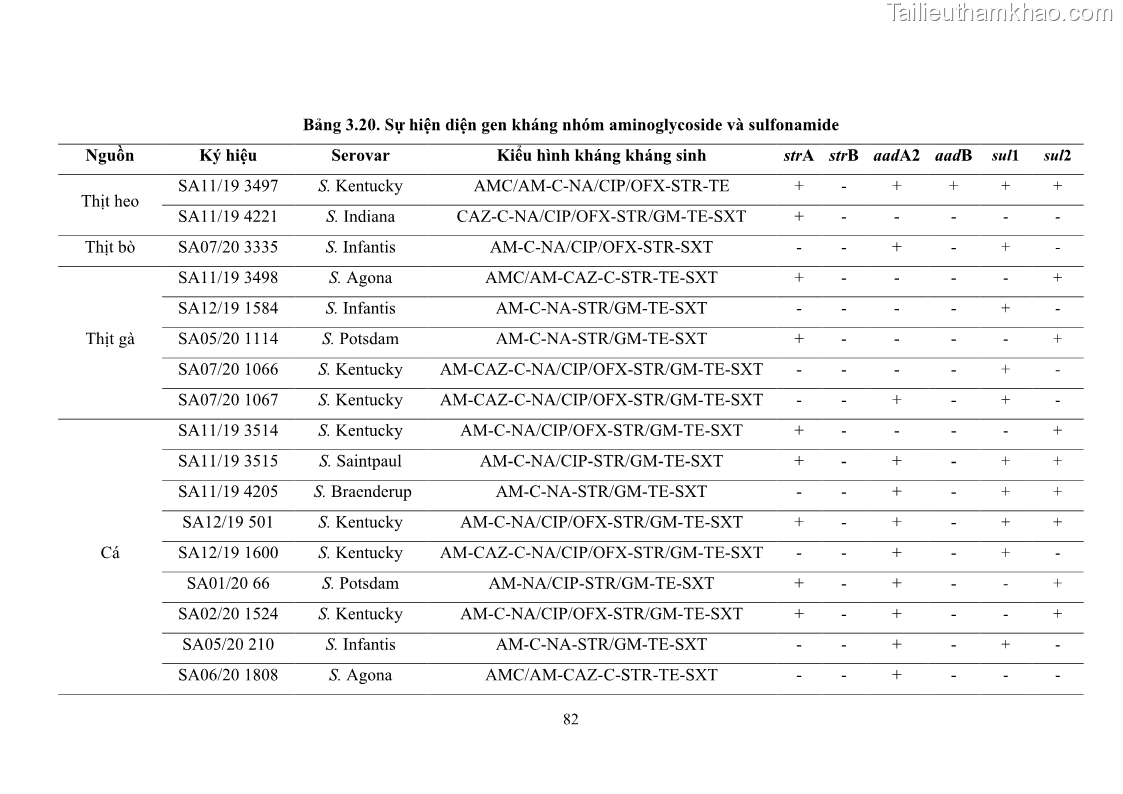 Luận án tiến sĩ công nghệ sinh học Nghiên cứu tính kháng kháng sinh ở mức độ phân tử của Salmonella spp. phân lập từ thực phẩm tại thành phố Hồ Chí Minh - 9 Trang 97