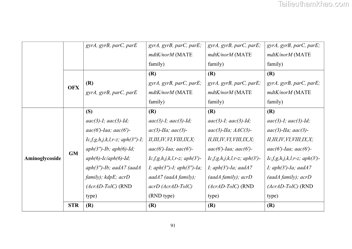 Luận án tiến sĩ công nghệ sinh học Nghiên cứu tính kháng kháng sinh ở mức độ phân tử của Salmonella spp. phân lập từ thực phẩm tại thành phố Hồ Chí Minh - 9 Trang 106