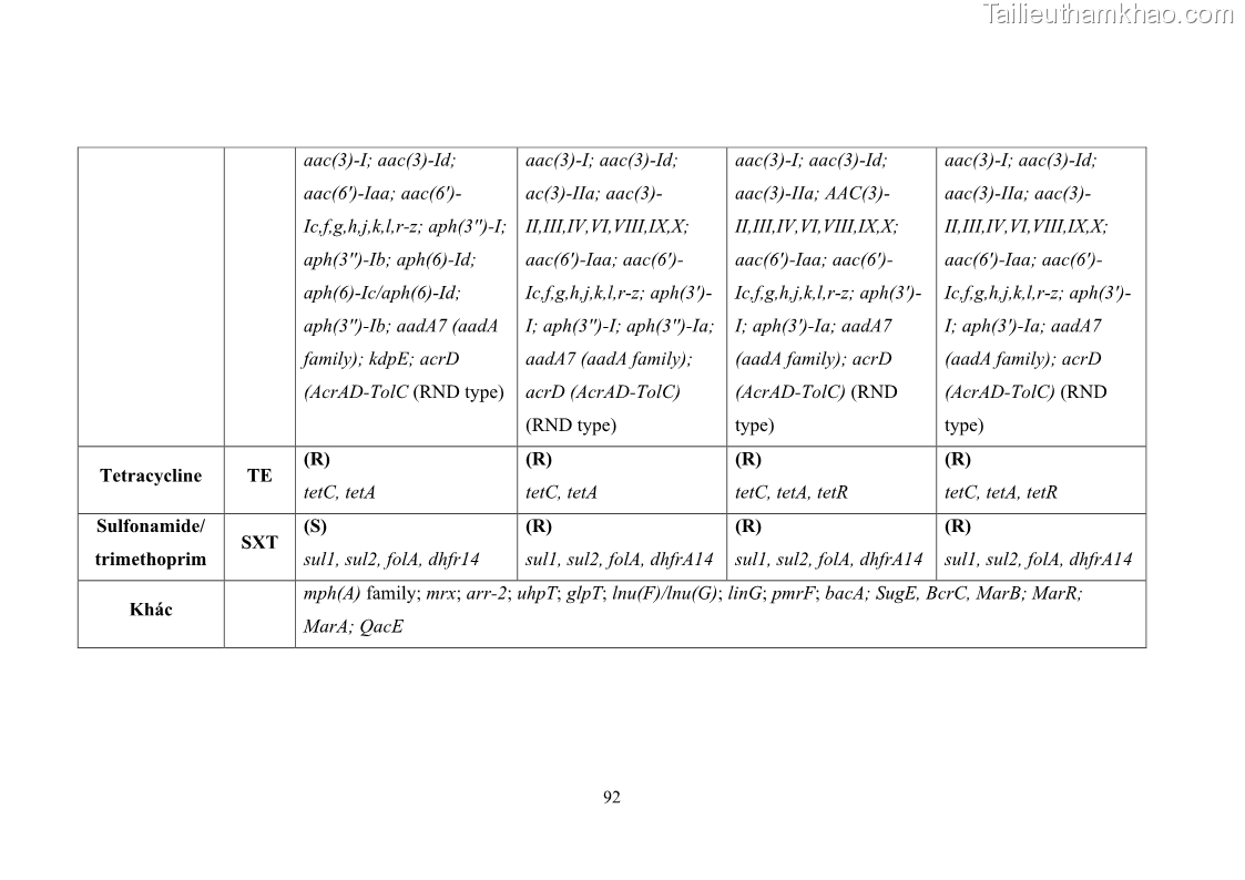 Luận án tiến sĩ công nghệ sinh học Nghiên cứu tính kháng kháng sinh ở mức độ phân tử của Salmonella spp. phân lập từ thực phẩm tại thành phố Hồ Chí Minh - 9 Trang 107
