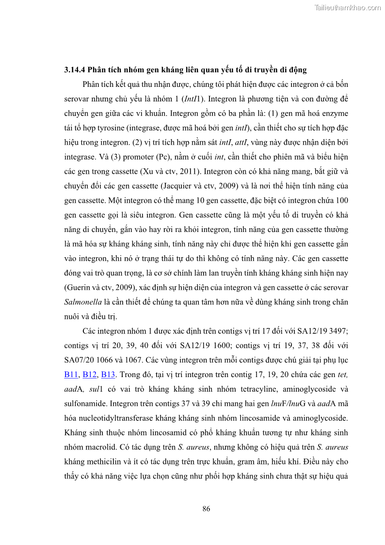 Luận án tiến sĩ công nghệ sinh học Nghiên cứu tính kháng kháng sinh ở mức độ phân tử của Salmonella spp. phân lập từ thực phẩm tại thành phố Hồ Chí Minh - 9 Trang 101