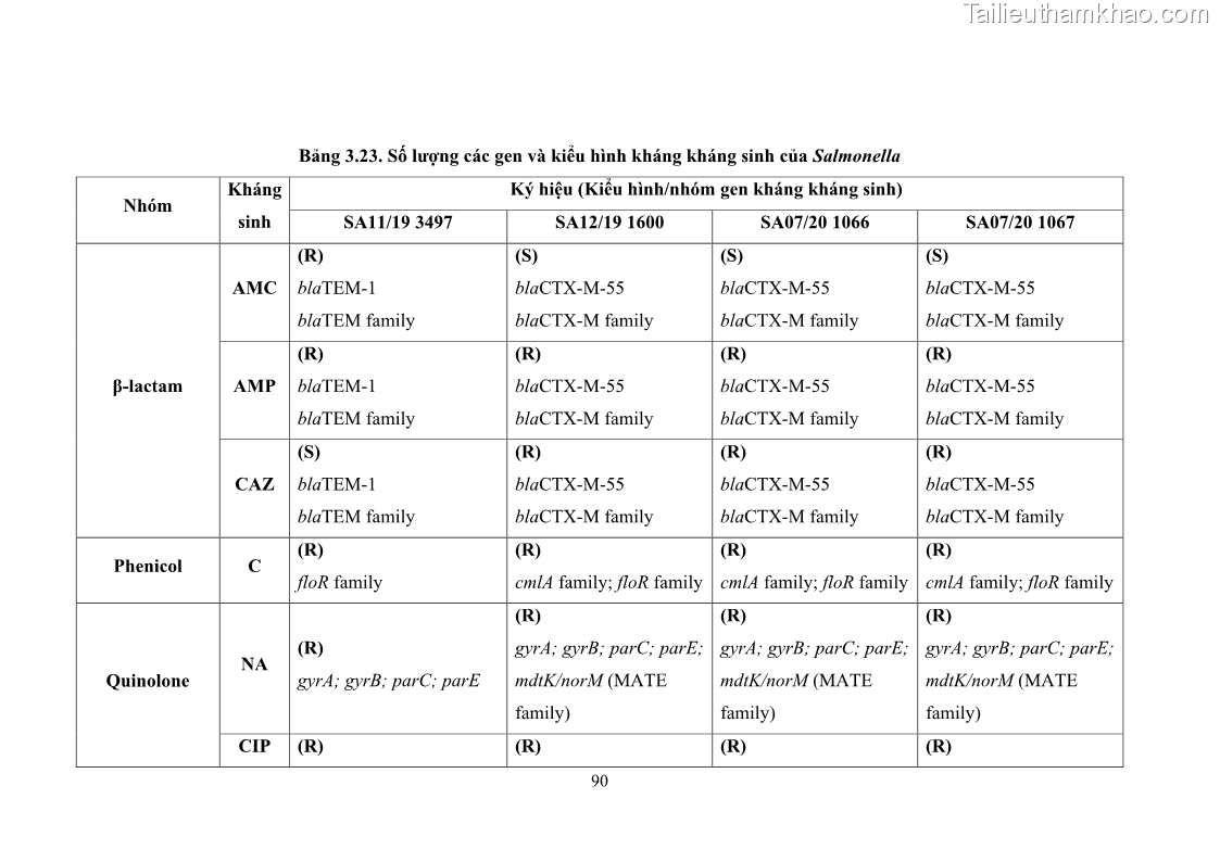 Luận án tiến sĩ công nghệ sinh học Nghiên cứu tính kháng kháng sinh ở mức độ phân tử của Salmonella spp. phân lập từ thực phẩm tại thành phố Hồ Chí Minh - 9 Trang 105
