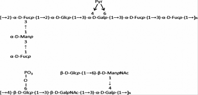 42 L johnsonii 142 43 L johnsonii FI9785 44 L fermentum TDS030603 45 L plantarum L1 9