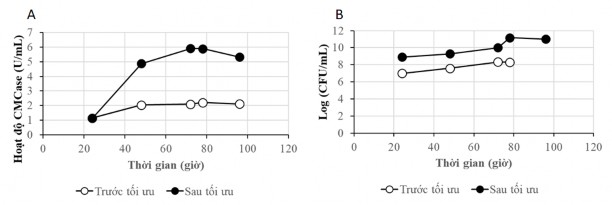 Hình 3 9 Kết quả xác định hoạt độ CMCase và mật độ tế bào trên môi 3