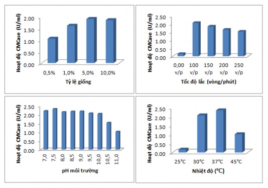 Hình 3 15 Ảnh hưởng các thông số kỹ thuật tới sinh tổng hợp enzym từ MP1 1