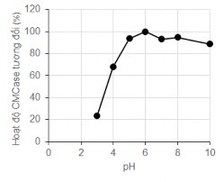 Hình 3 17 Ảnh hưởng của pH đến hoạt độ của enzyme CMCase từ MP1 Kết quả 2