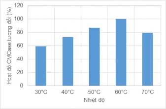 Hình 3 18 Ảnh hưởng của nhiệt độ đến hoạt tính CMCase từ MP1 Kết quả cho 3