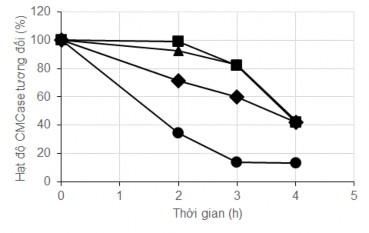 Hình 3 20 Độ bền nhiệt chế phẩm cellulase từ MP1 3 5 So sánh giữa B subtilis G4 5