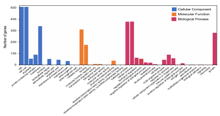 Hình 3 23 Phân loại chức năng gen 3 5 3 So sánh COG toàn bộ hệ gen và các 3