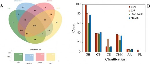 Hình 3 25 So sánh genom của MP1 với các chủng C cellulans Hệ gen của 4 chủng C 5