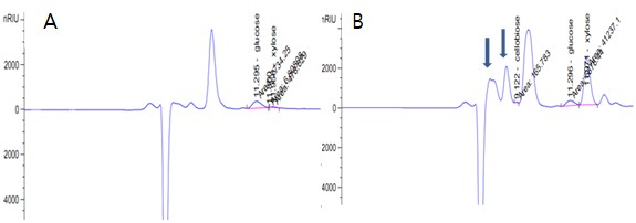 A Mẫu đối chứng Dịch thủy phân bởi enzym đã bị bất hoạt tương ứng B 1