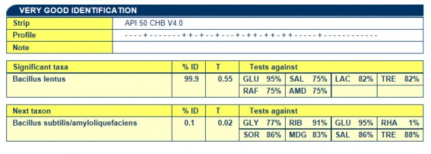Định tên bằng Kit API T2 11 Dịnh tên bằng Kit API G4 Dịnh tên bằng Kit API 1