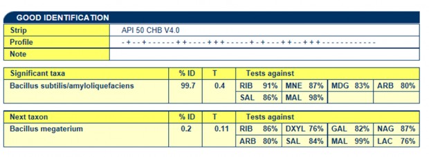 Dịnh tên bằng Kit API CG4 1 2 3