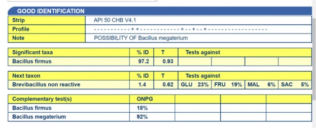 Tên bằng Kit API T2 11 Dịnh tên bằng Kit API G4 Dịnh tên bằng Kit API CG4 1 2 4