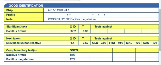 Tên bằng Kit API T2 11 Dịnh tên bằng Kit API G4 Dịnh tên bằng Kit API CG4 1 2 5