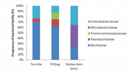 Hình 1 4 Phân bố các họ vi khuẩn trong ruột mối và côn trùng 41 Bảng 1 4 2