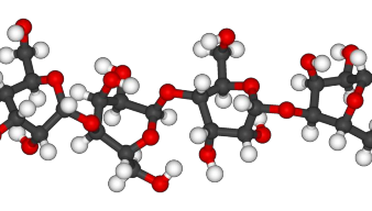 Hình 1 5 Cấu trúc không gian của phân tử cellulose 9 Các gốc D glucose trong 1