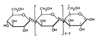 Hình 1 6 Cấu trúc hóa học phân tử cellulose 9 Hemicellulose Hemicellulose cũng là 2